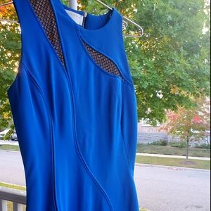 Victoria Beckham Blue Dress